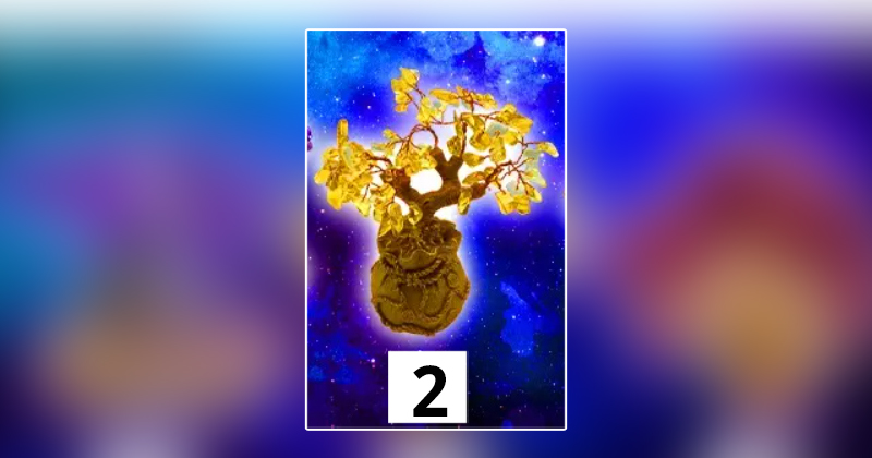 2