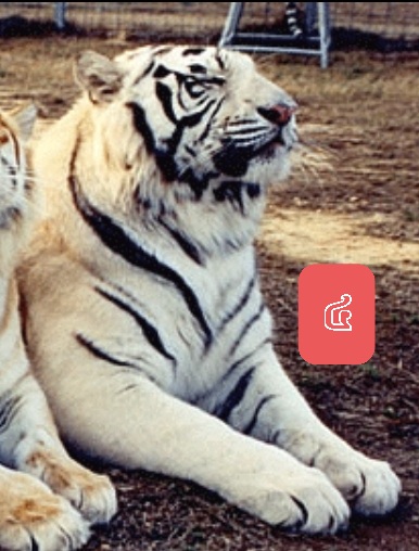 Screenshot_20211024 120402_Gallery