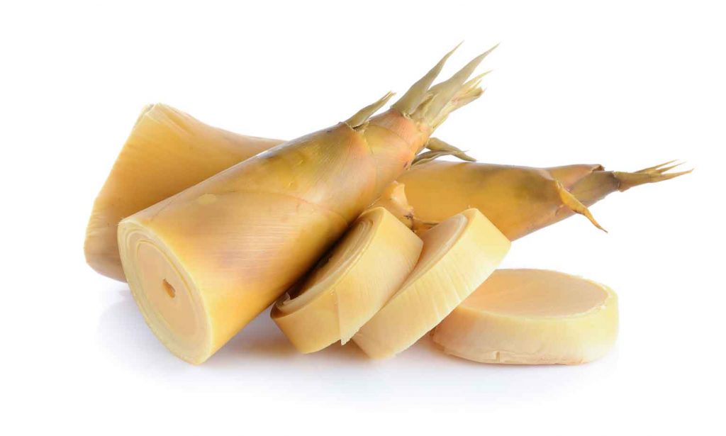 Bamboo Shoots White Background 1024x615