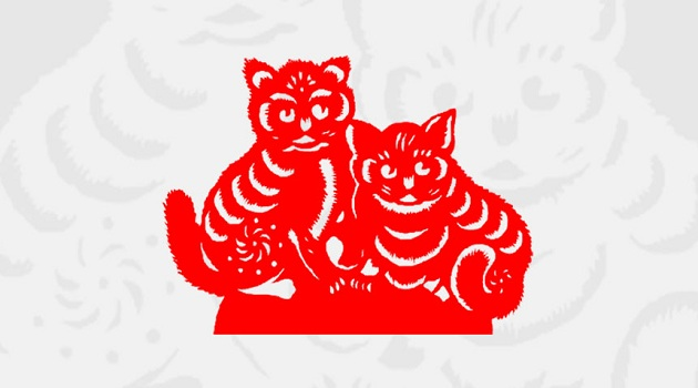 Image_2021 11 23_104017