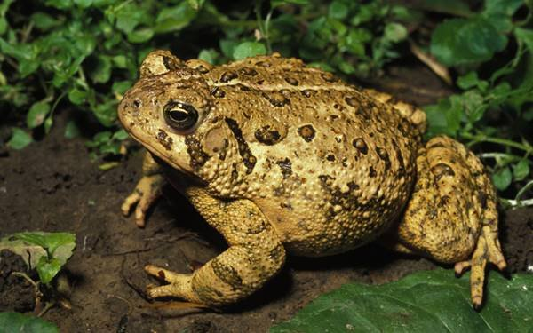 Image_2021 12 01_123728