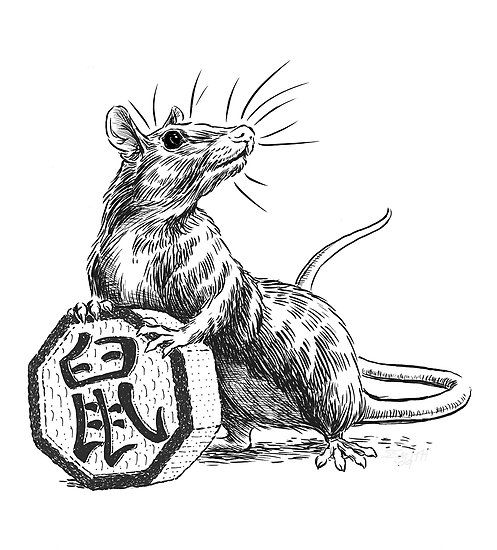 Image_2021 12 09_163136
