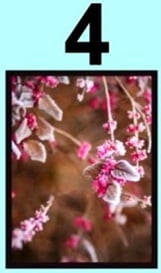 2022 01 13_XnEiXibk15.4 Chon Buc Tranh