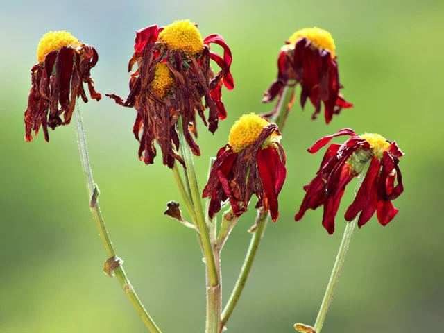 Image_2022 01 07_114008