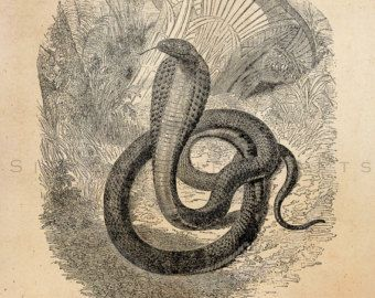 Image_2022 01 20_115011
