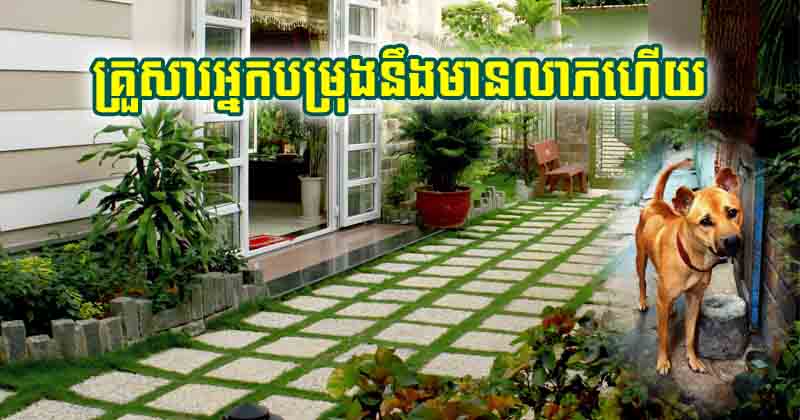 បើ​លេច​រឿង​ចម្លែក ៣ ចេញ​មក នោះ​ជា​ប្រផ្នូល​ល្អ គ្រួសារ​អ្នក​បម្រុង​នឹង​មាន​លាភ​ហើយ