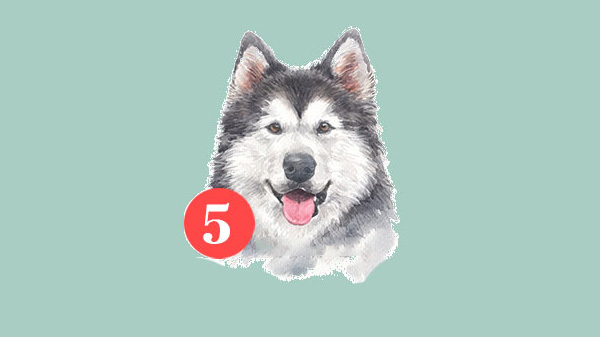 5 28