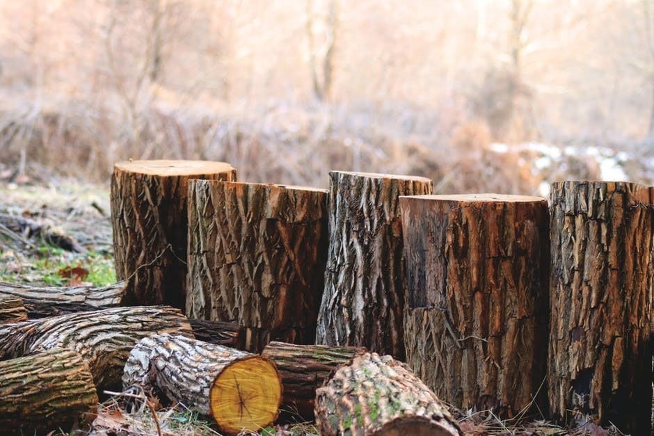 Is Wood An Element