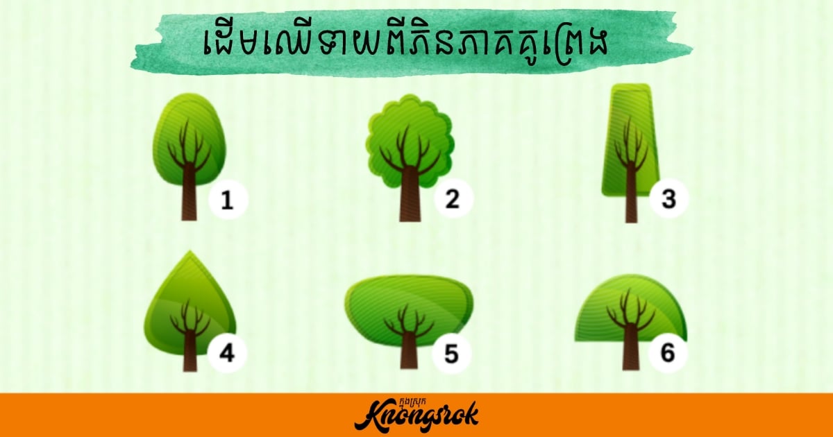 ចង់ដឹងទេ! អនាគតអ្នកនឹងជួបស្នេហាបែបណា? រើសដើមឈើមួយដែលអ្នកចូលចិត្ត សឹមចូលអានចម្លើយពិត