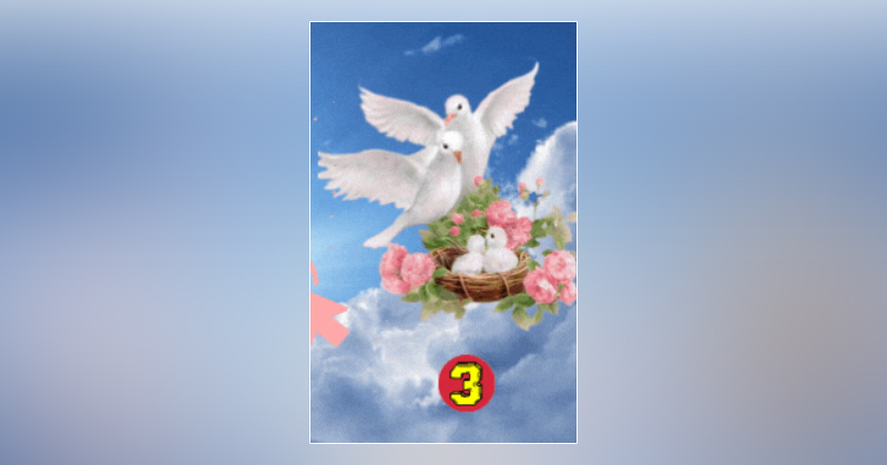 3