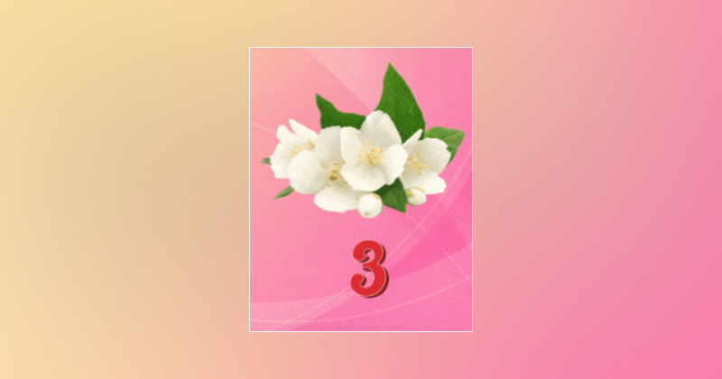 3