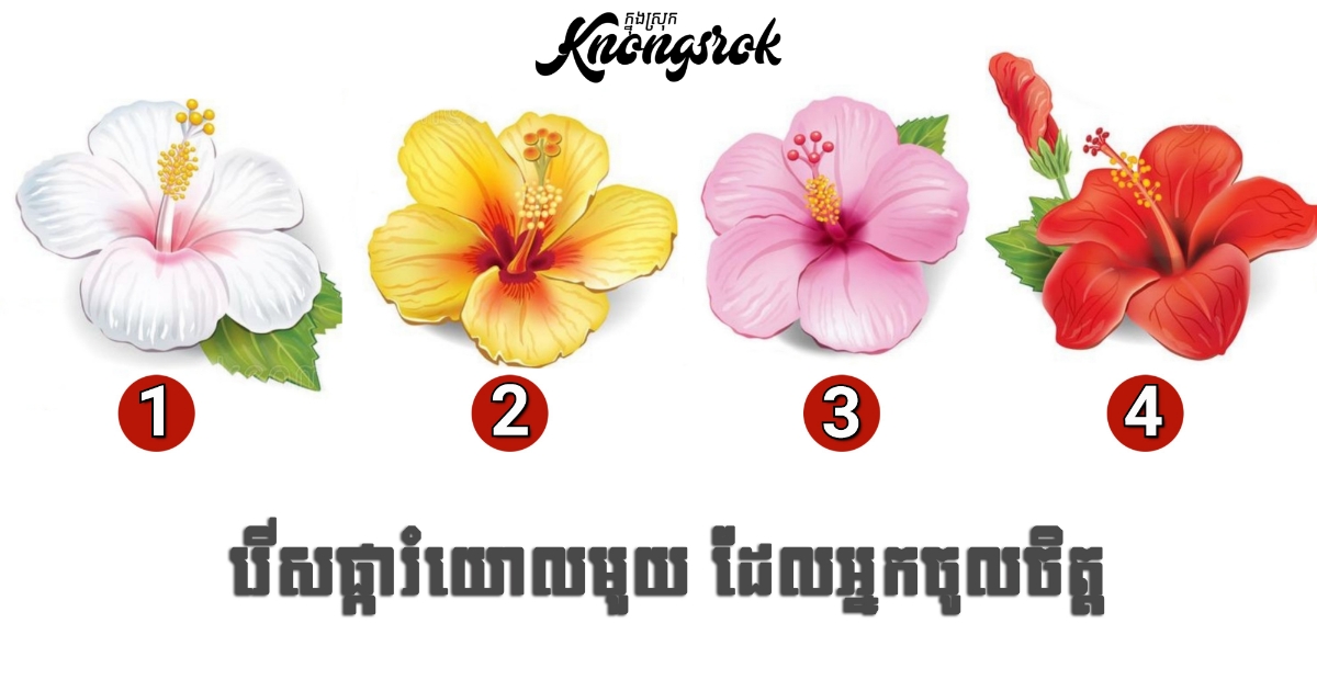 រើស “ផ្ការំយោល” មួយដែលអ្នកឃើញហើយចាប់អារម្មណ៍ ដើម្បីតេស្តមើលចំណុចអវិជ្ជមានដែលអ្នកគួរតែកែចេញភ្លាម រើស “ផ្ការំយោល” មួយដែលអ្នកឃើញហើយចាប់អារម្មណ៍ ដើម្បីតេស្តមើលចំណុចអវិជ្ជមានដែលអ្នកគួរតែកែចេញភ្លាម