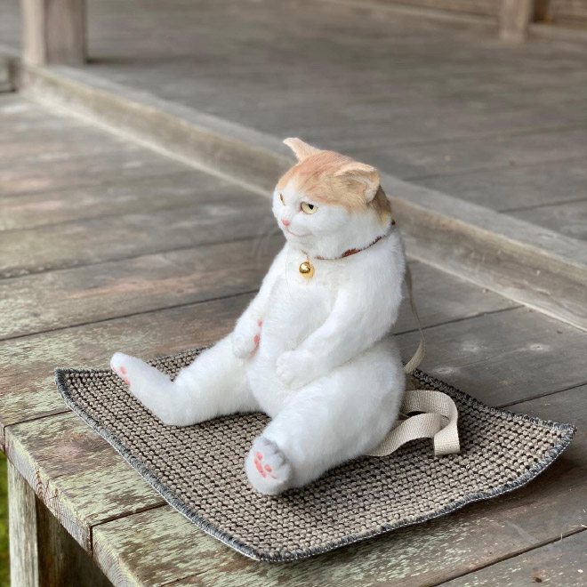 Cat Backpack12