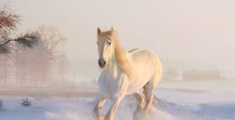 Ice_screenshot_20220614 152048