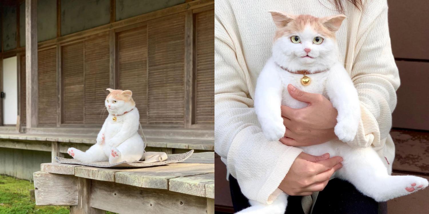 This Cat Backpack Looks Like A Real Live Cat 166