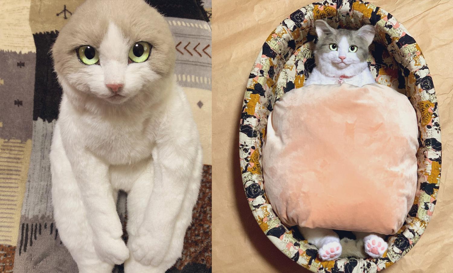 This Cat Backpack Looks Like A Real Live Cat 6473