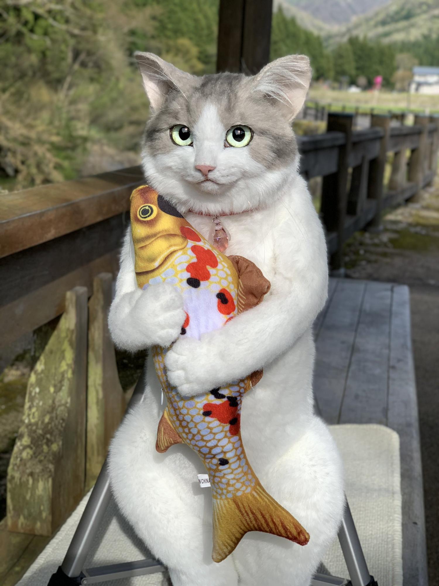 This Cat Backpack Looks Like A Real Live Cat 6631