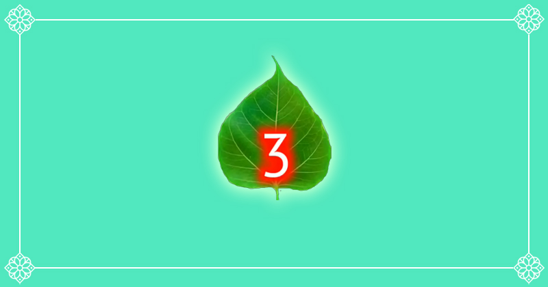 3