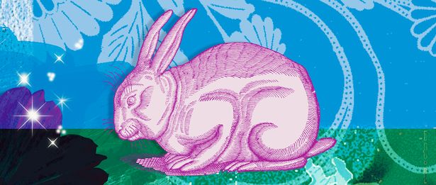 Montage Of The Chinese Year Of The Rabbit