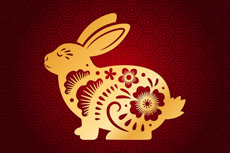 Rabbit Astrology