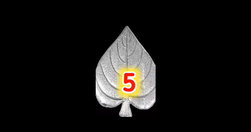 5