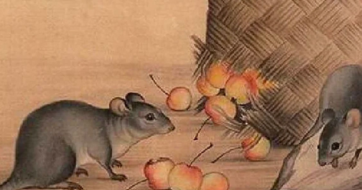 ១