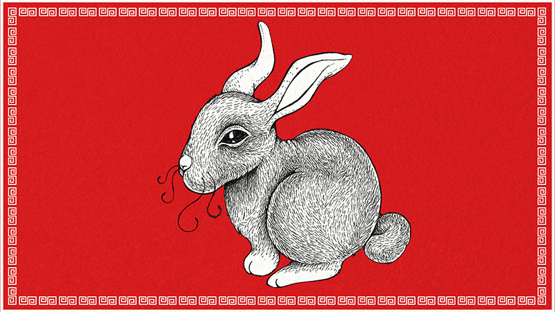 1579579234195 Rabbit