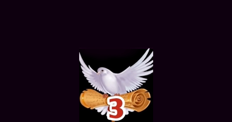 3