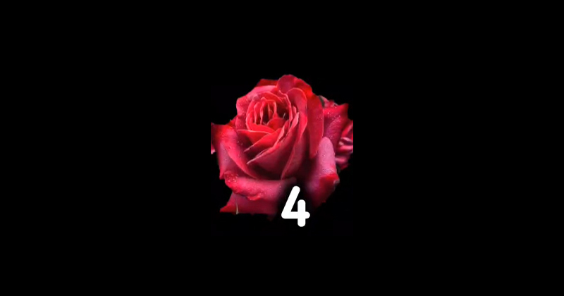 4