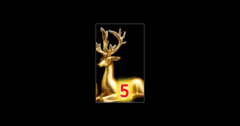 5