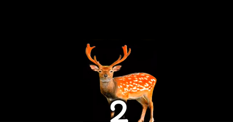 2