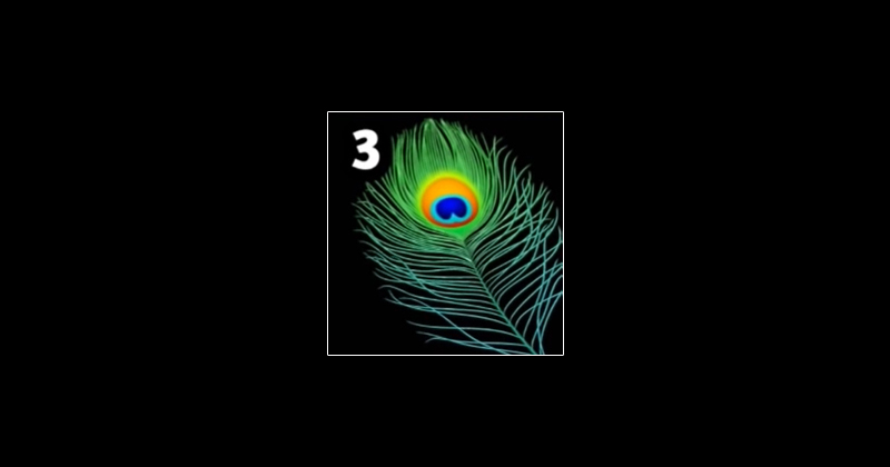 3