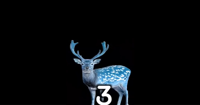 3