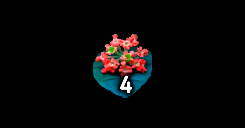 4