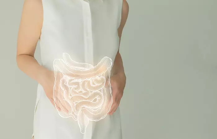 Woman With Highlighed Intestines Showing Digestive Health.jpg
