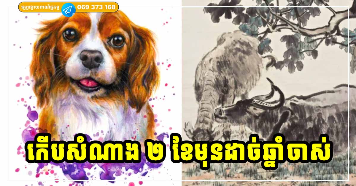សំណាងខ្លាំង ២ ខែចុងក្រោយមុនចូលឆ្នាំថ្មី សម្រាប់អ្នកកើតក្នុងឆ្នាំទាំង ៣ នេះ សំណាងខ្លាំង ២ ខែចុងក្រោយមុនចូលឆ្នាំថ្មី សម្រាប់អ្នកកើតក្នុងឆ្នាំទាំង ៣ នេះ