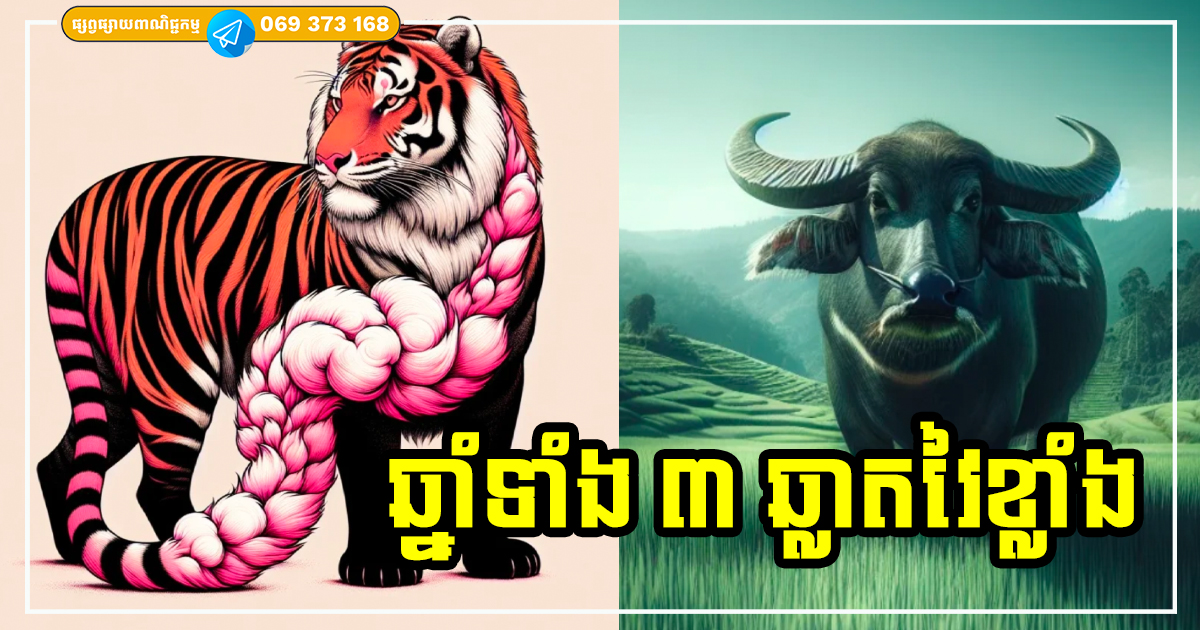 មនុស្សឆ្នាំទាំង ៣ ឆ្លាត ឈ្លាសវៃ ធ្វើការងារអ្វីក៏តែងទទួលបានជោគជ័យធំដែរ