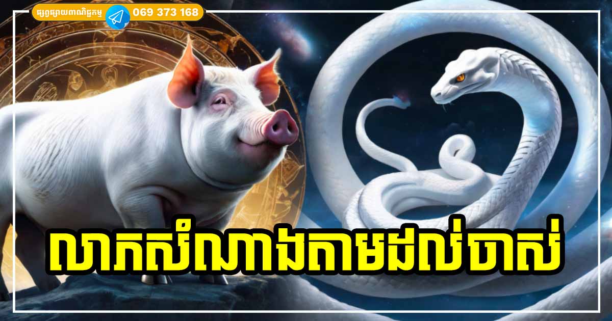 លាភសំណាងតាមដល់ចាស់! ម្ចាស់ស្រីឆ្នាំទាំង ៣ អាយុកាន់តែច្រើន លុយកាក់ ទ្រព្យសម្បត្តិកើនឡើងកាន់តែខ្លាំង