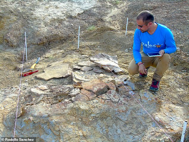 24653450 0 To_uncover_more_information_about_the_turtle_s_prehistoric_life_ A 60_1581521960857