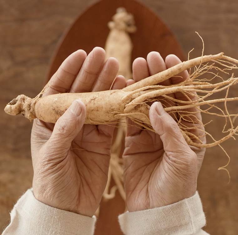 CheongKwanJang Benefits Of Ginseng Immune_800x_63de32e5 42fa 4e05 97f0 977a23076aee