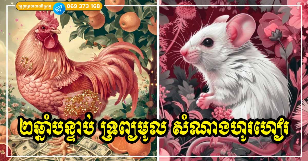 ម្ចាស់ឆ្នាំទាំង ៣​ រាសីគាប់ប្រសើរ ស្នេហា ការងារដំណើរការបានល្អ ប្រមូលលុយប្រមូលទ្រព្យ ក្នុងរយៈពេល ២ ឆ្នាំខាងមុខ
