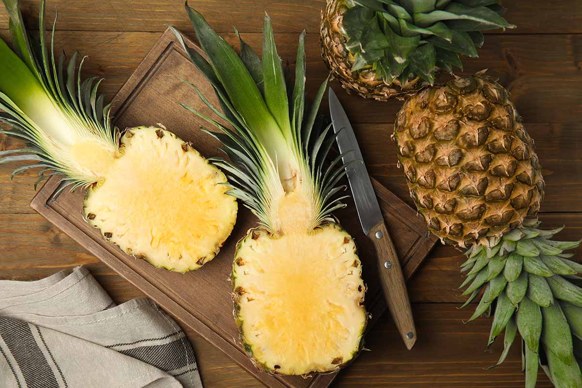 How To Grow Pineapples Feature