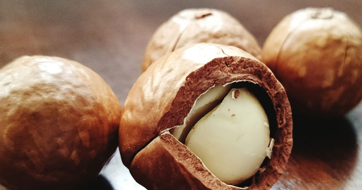 Macadamia Nuts 4409908