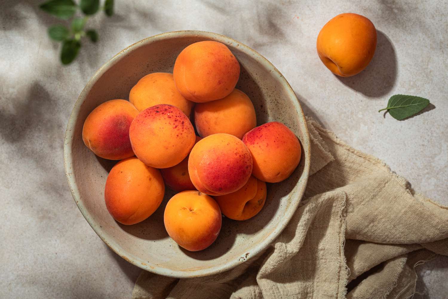 Apricot 07032c0f0c5945818772dc2bd56e2429