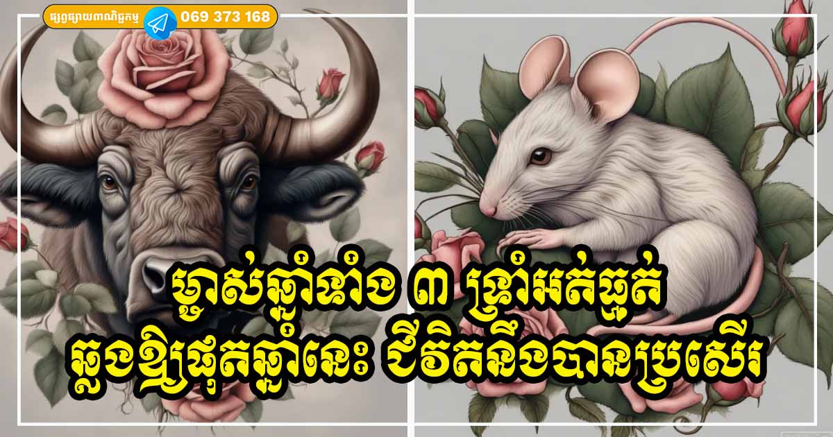 ស្ត្រីឆ្នាំទាំង ៣ ទ្រាំឆ្លងឱ្យផុតឆ្នាំនេះ បន្ទាប់ពីឆ្នាំក្រោយទៅ រួចផុតពីរណ្ដៅទុក្ខ លែងលំបាក ខ្វះខាតទៀតហើយ