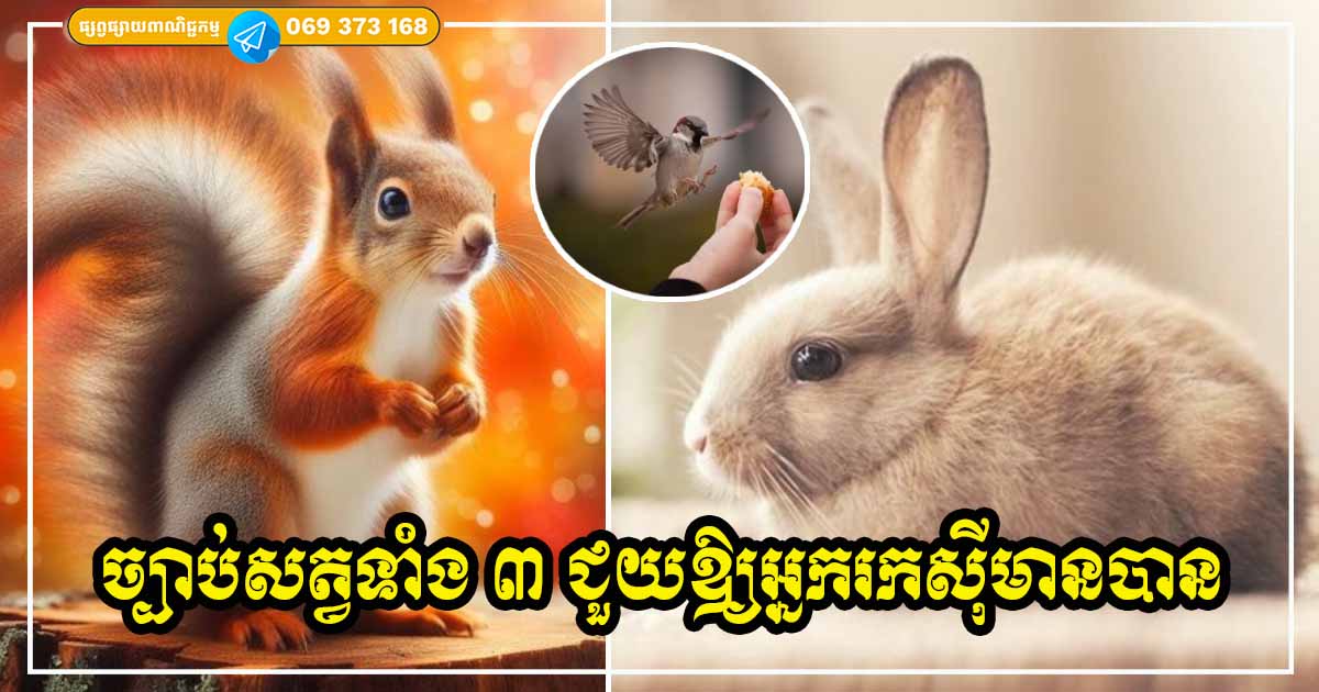 ចង់មានបាន សាកល្បងរៀនតាមច្បាប់របស់សត្វទាំង ៣ នេះ អ្នកក្រមិនដែលដឹងទេ