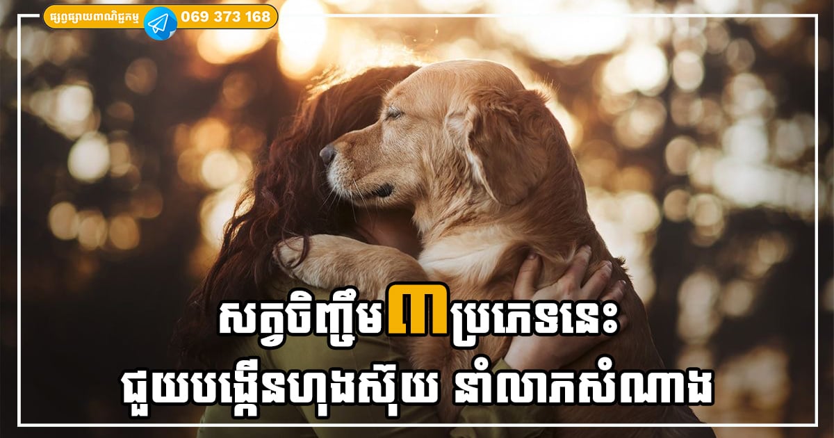 បុរាណបានទូន្មានថា ការចិញ្ចឹមសត្វទាំង៣នេះ នឹងជួយម្ចាស់ផ្ទះ មានជីវភាពធូរធារ និងបង្កើតថាមពលវិជ្ជមានក្នុងផ្ទះ