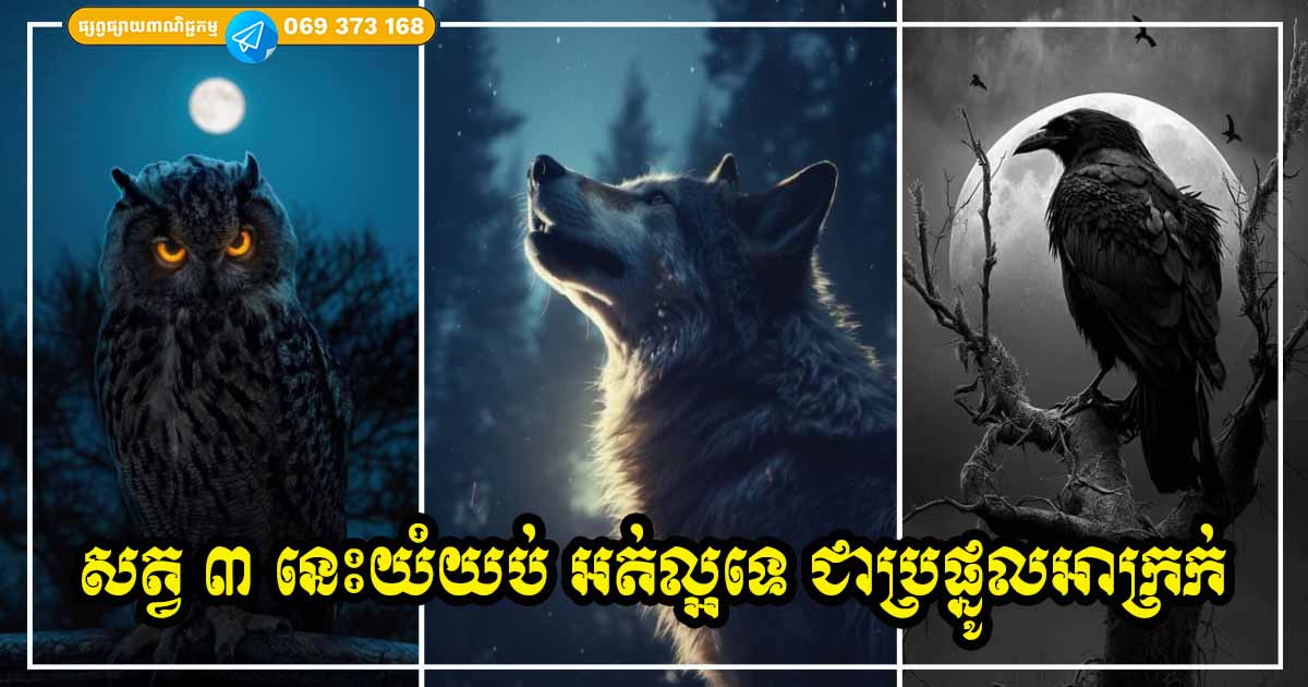 ចាស់ៗតែងនិយាយ បើឮសំឡេងសម្រែកសត្វទាំង ៣ នេះយំ ពុំមែនជាប្រផ្នូលល្អឡើយ ស៊យច្រើនជាងលាភ