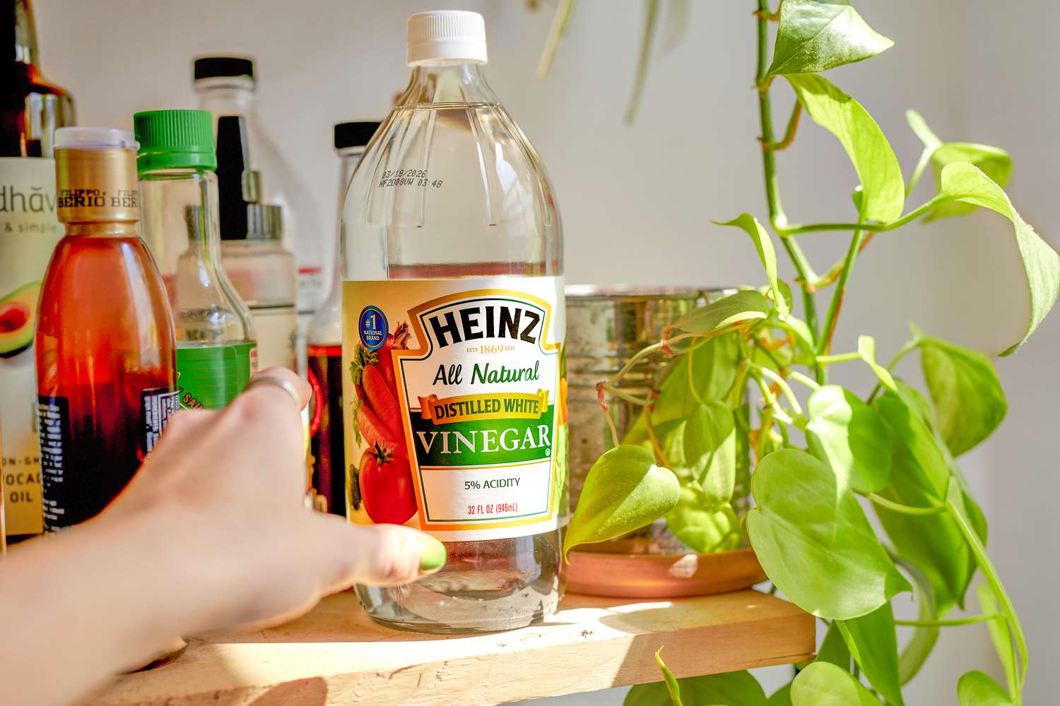 Simply Recipes Z Heinz Vinegar Cleaning LEAD OPTION 01 589eec2a942c4c9da830d00d129bc9e5