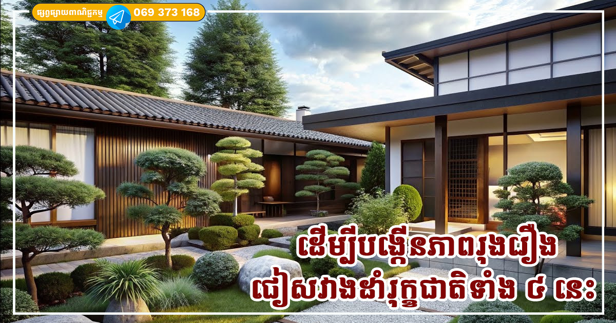 តាមក្បួនហុងស៊ុយ ដើម្បីបង្កើនភាពរុងរឿងនិងទ្រព្យសម្បត្តិ អ្នកត្រូវជៀសវាងដាំរុក្ខជាតិទាំង ៤ នេះ ក្នុងសួនមុខផ្ទះ